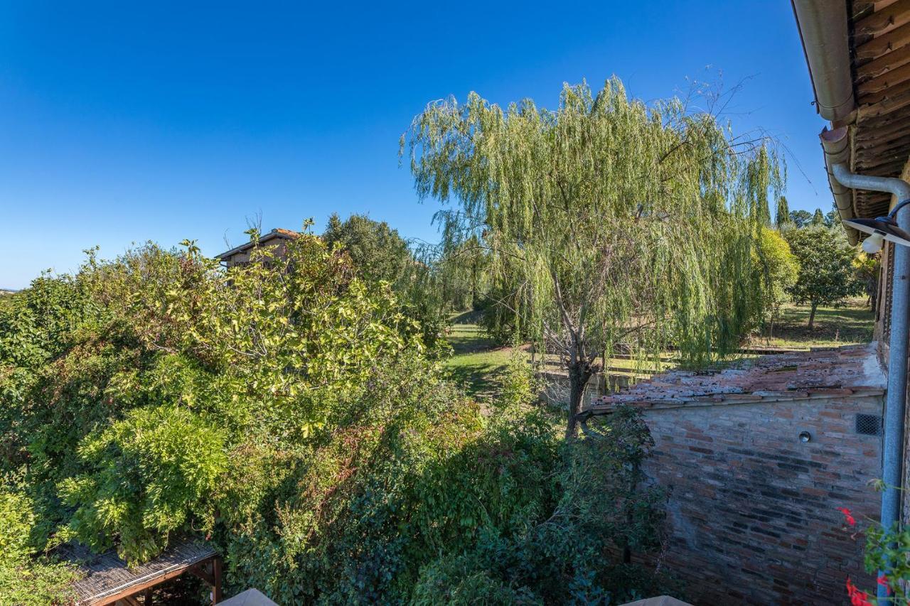 Podere Albereto Буонконвенто Екстериор снимка